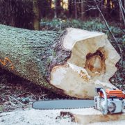 markus-spiske-Q0mDOn9gWk8-unsplash
